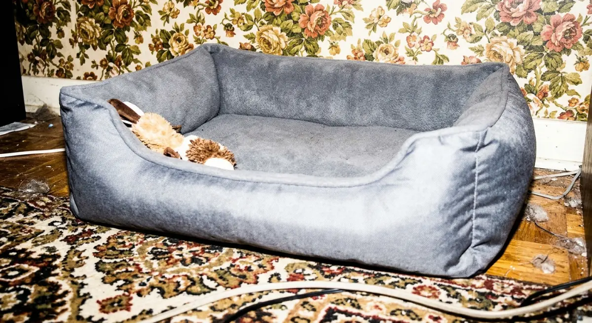 Common Mistakes We See (And How to Avoid Them)